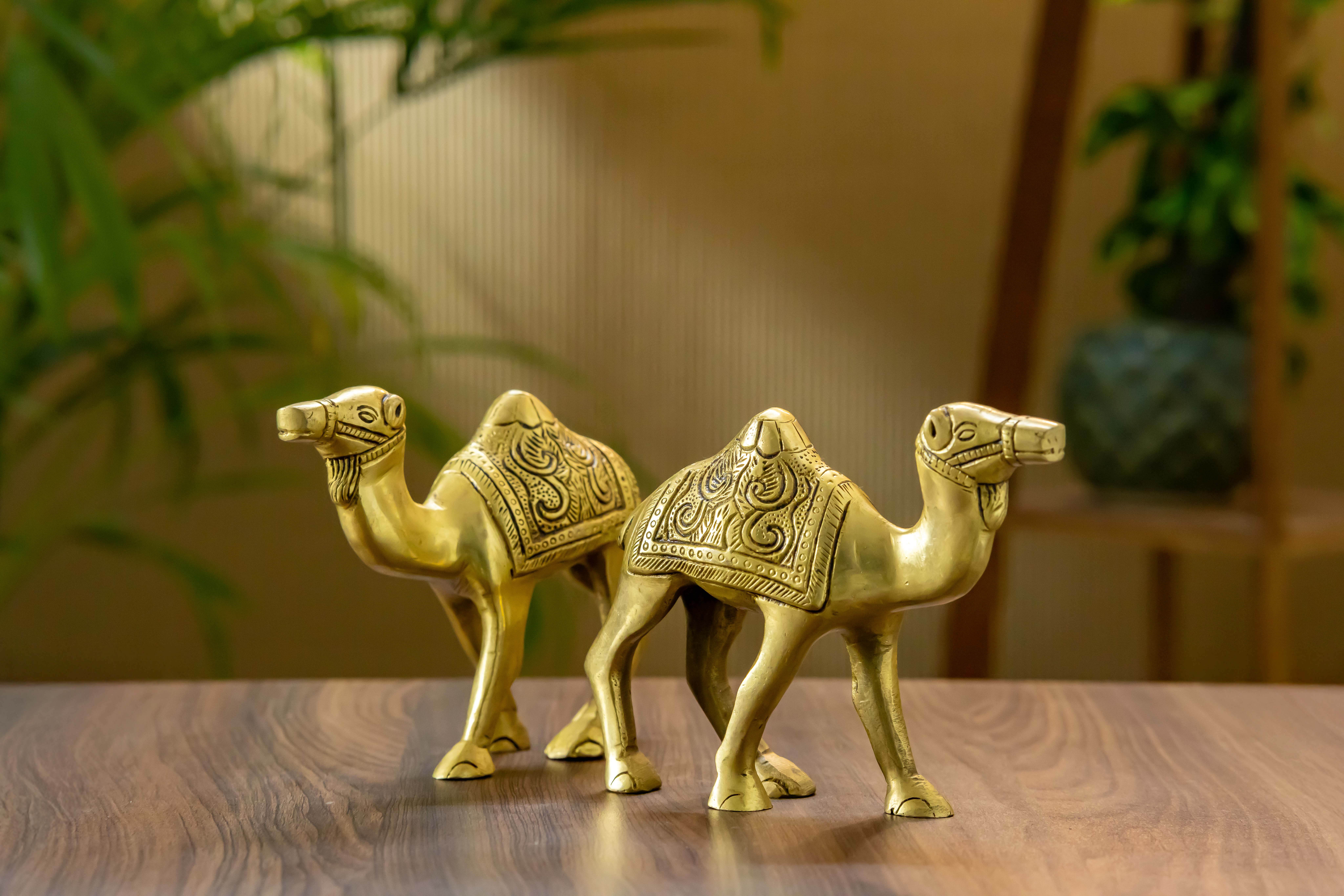 Majestic Brass Desert Camel Ornament